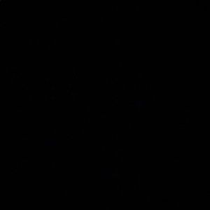 Meet your Posher, Ava